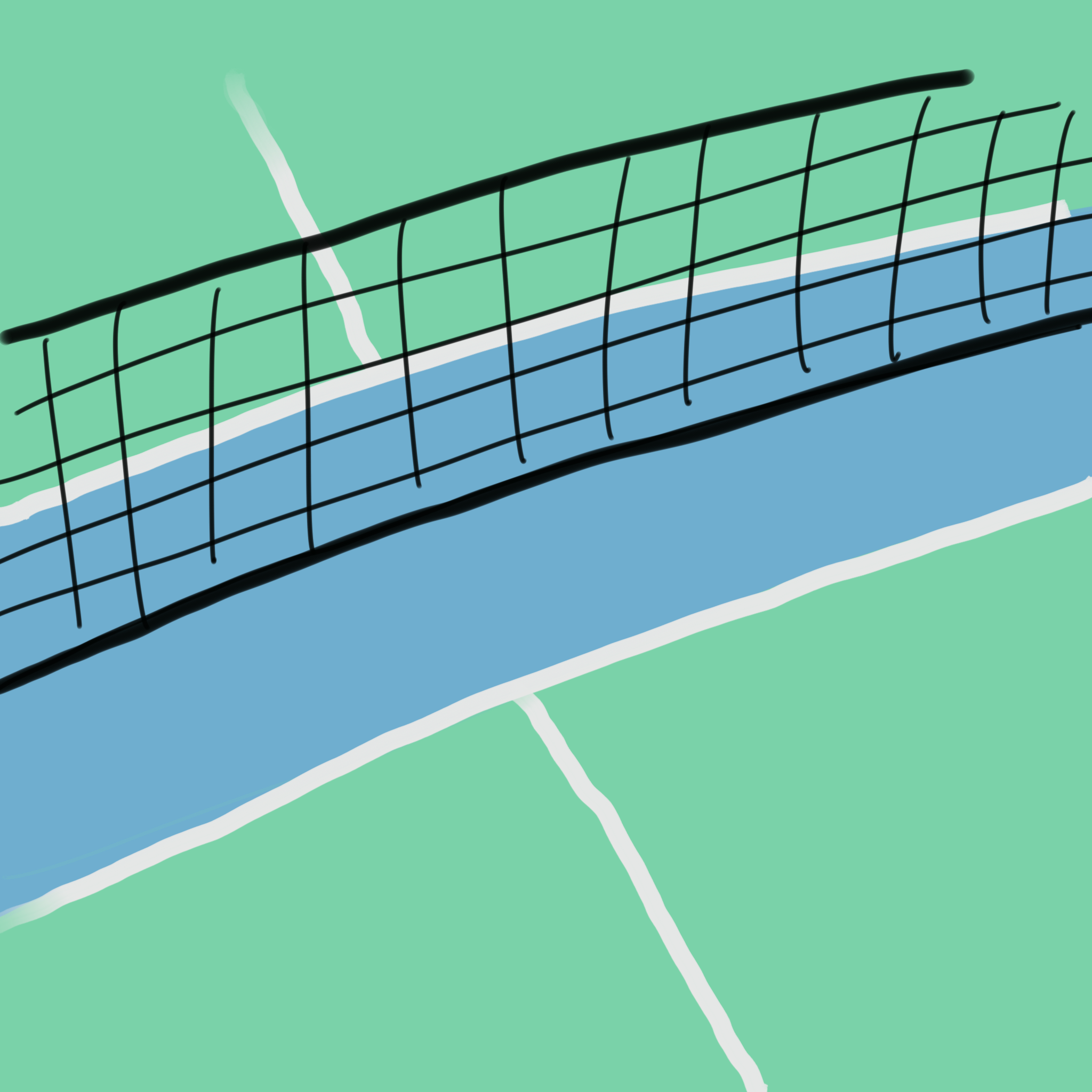 The Big Pickleball Basics Every Newbie Should Know